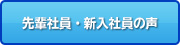 先輩社員・新入社員の声